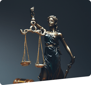Legal Support